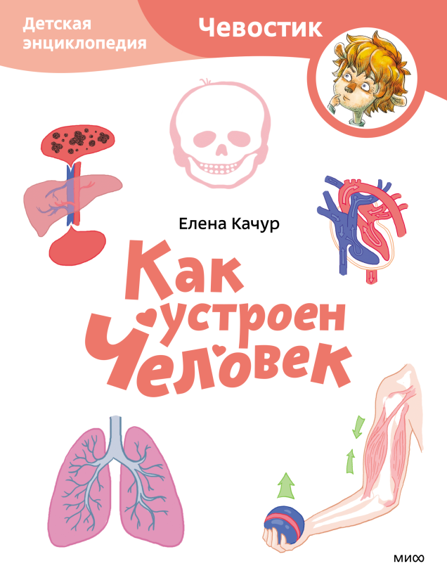 Как устроен человек. Чевостик