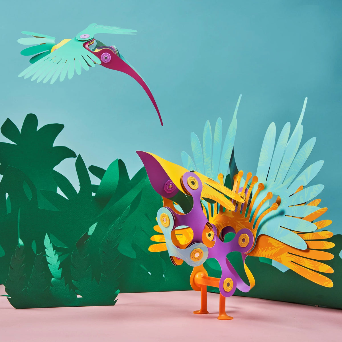Clixo: Tropical Birds