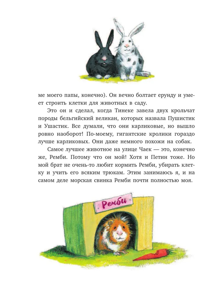 Тайна на улице Чаек