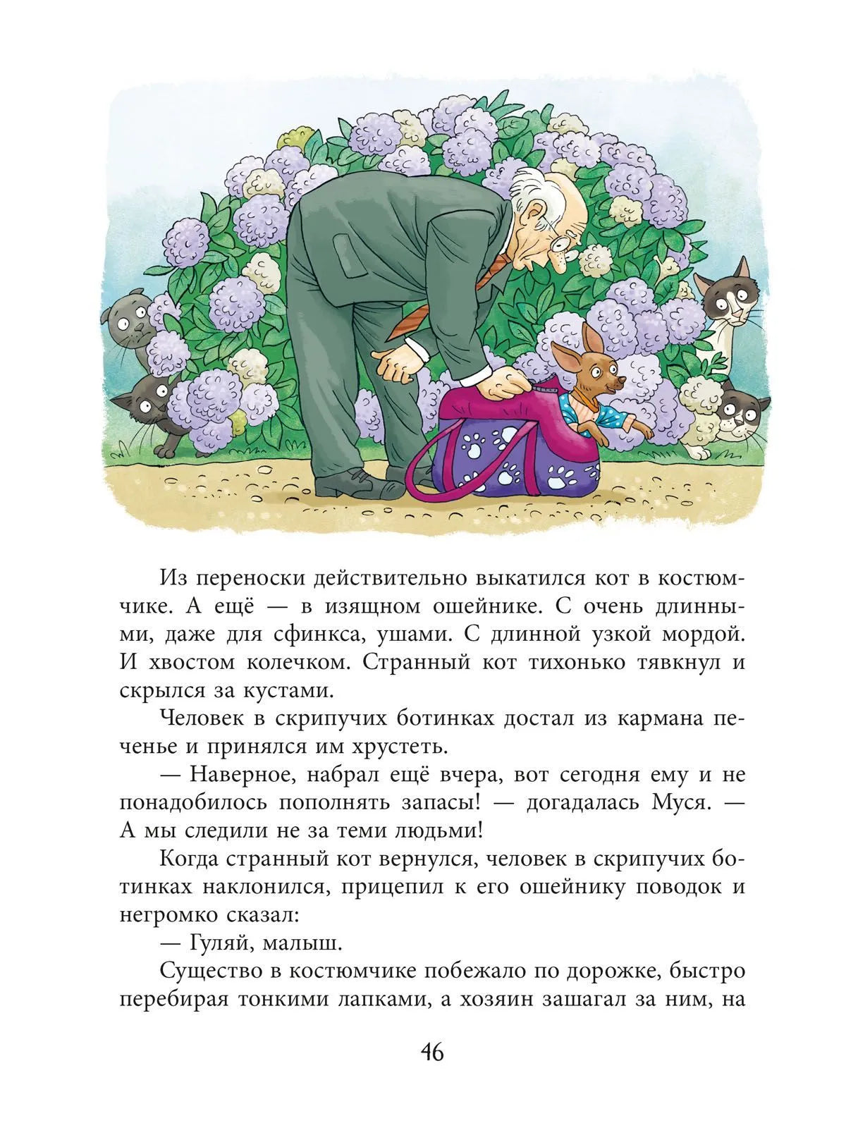 Кошкам можно всё / Ольга Лукас