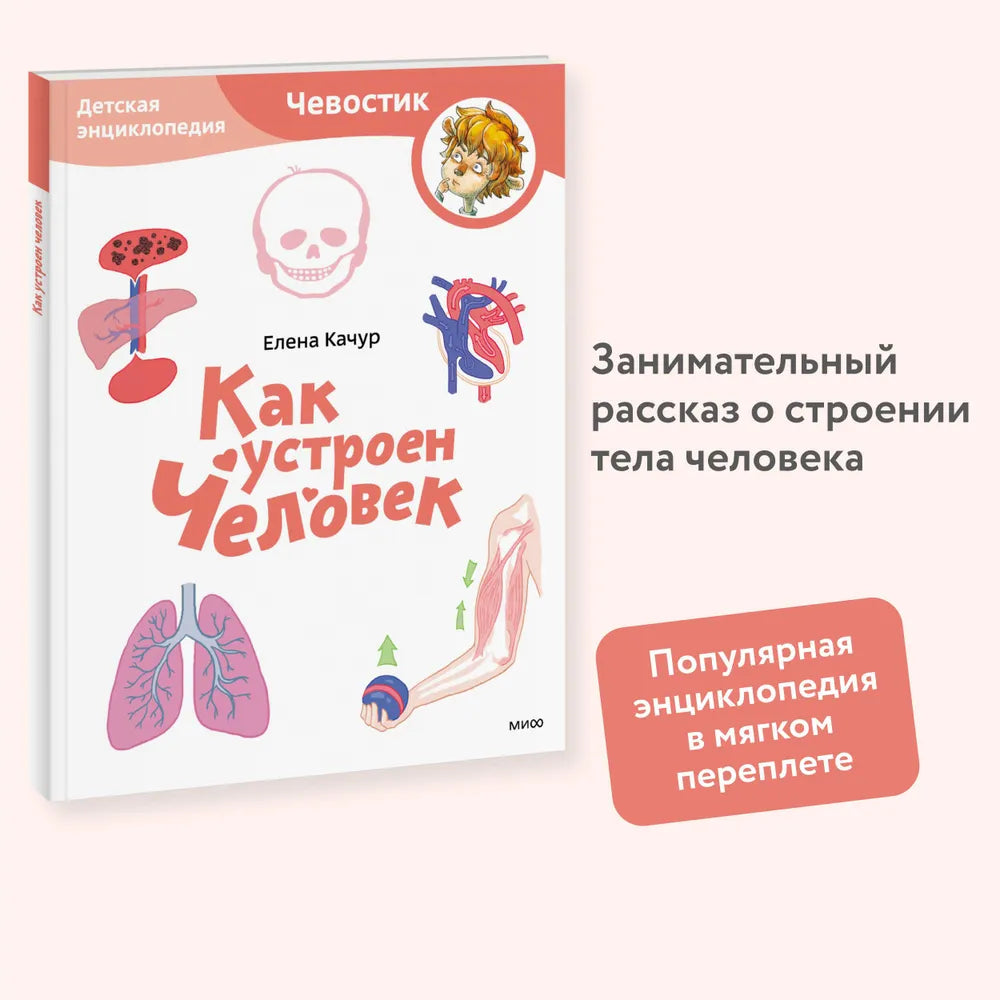 Как устроен человек. Детская энциклопедия (Чевостик) (мягк. обл)