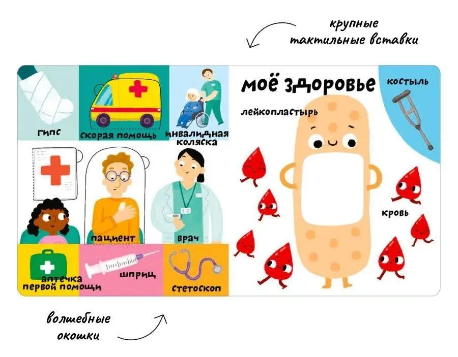 Мои первые 100 слов с окошками. Мое тело