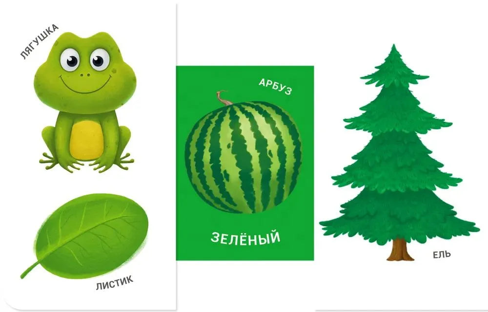 Книжки - задвижки. Какой это цвет?