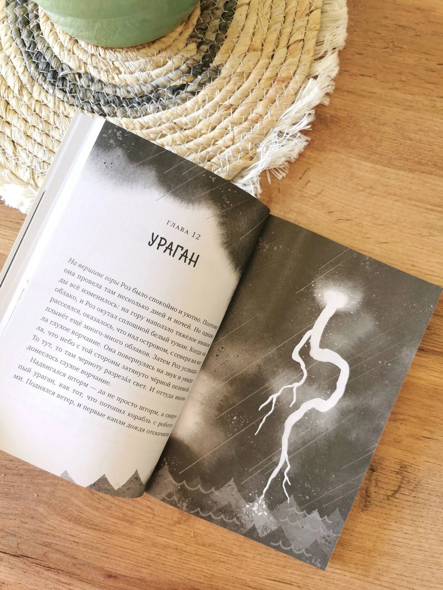 Дикий робот (мяг.обл) / Питер Браун