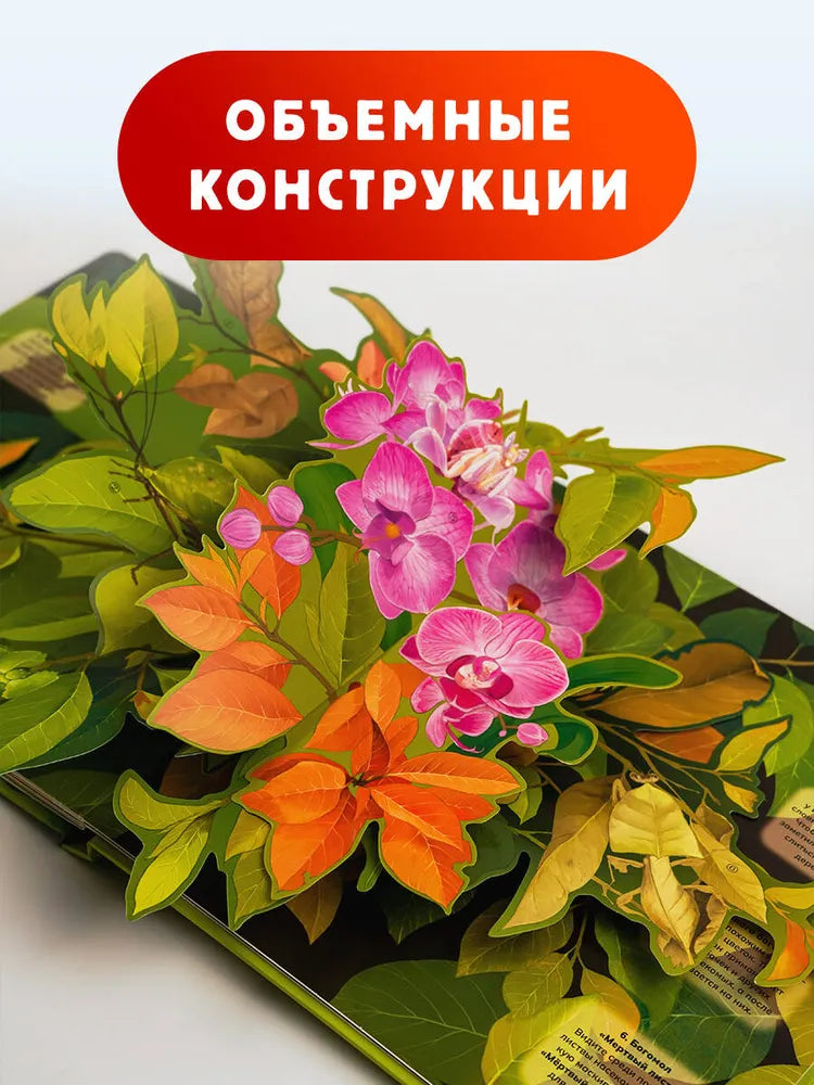 Насекомые / 3D