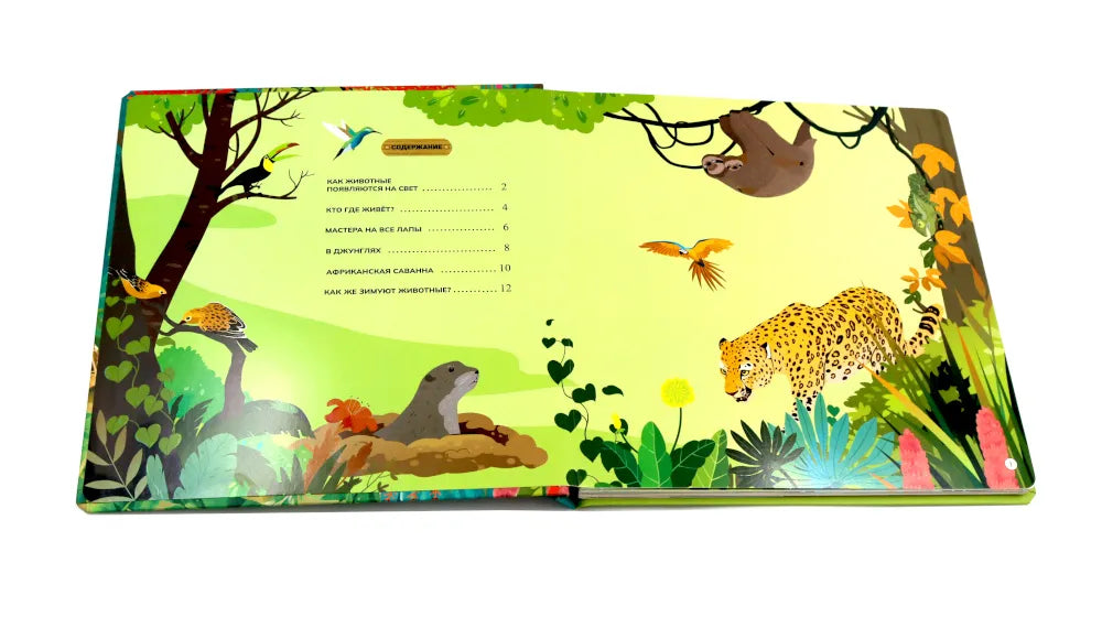 Животные и птицы