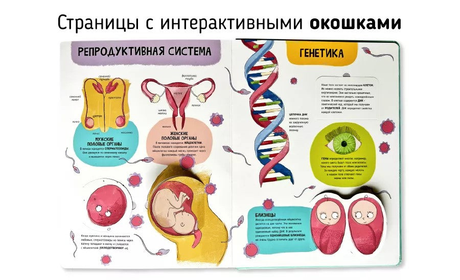 Мои первые открытия– Человеческое тело