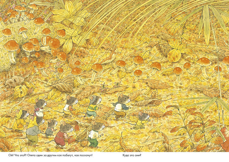 Парад грибов. 14 лесных мышей