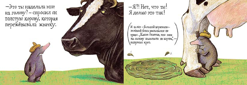 Маленький крот, который хотел знать, кто наделал ему на голову