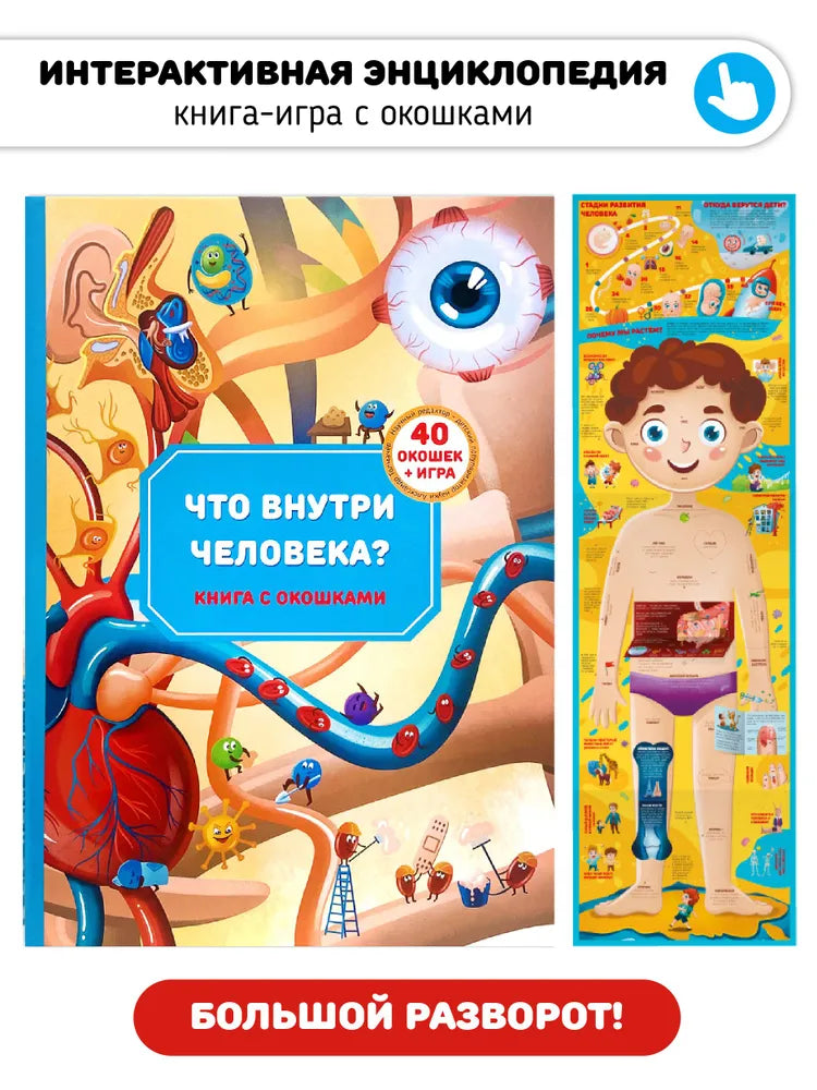 Анатомия. Книжка для самых маленьких с окошками "Что внутри человека"