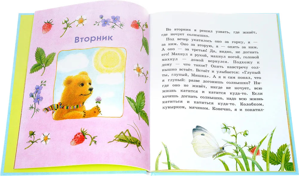 Дневник медвежонка