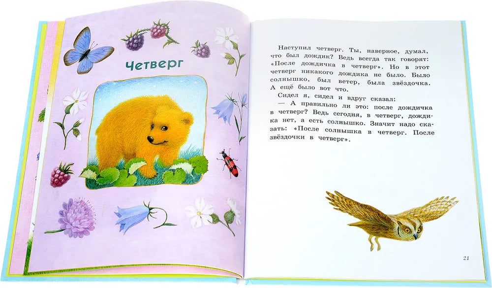 Дневник медвежонка