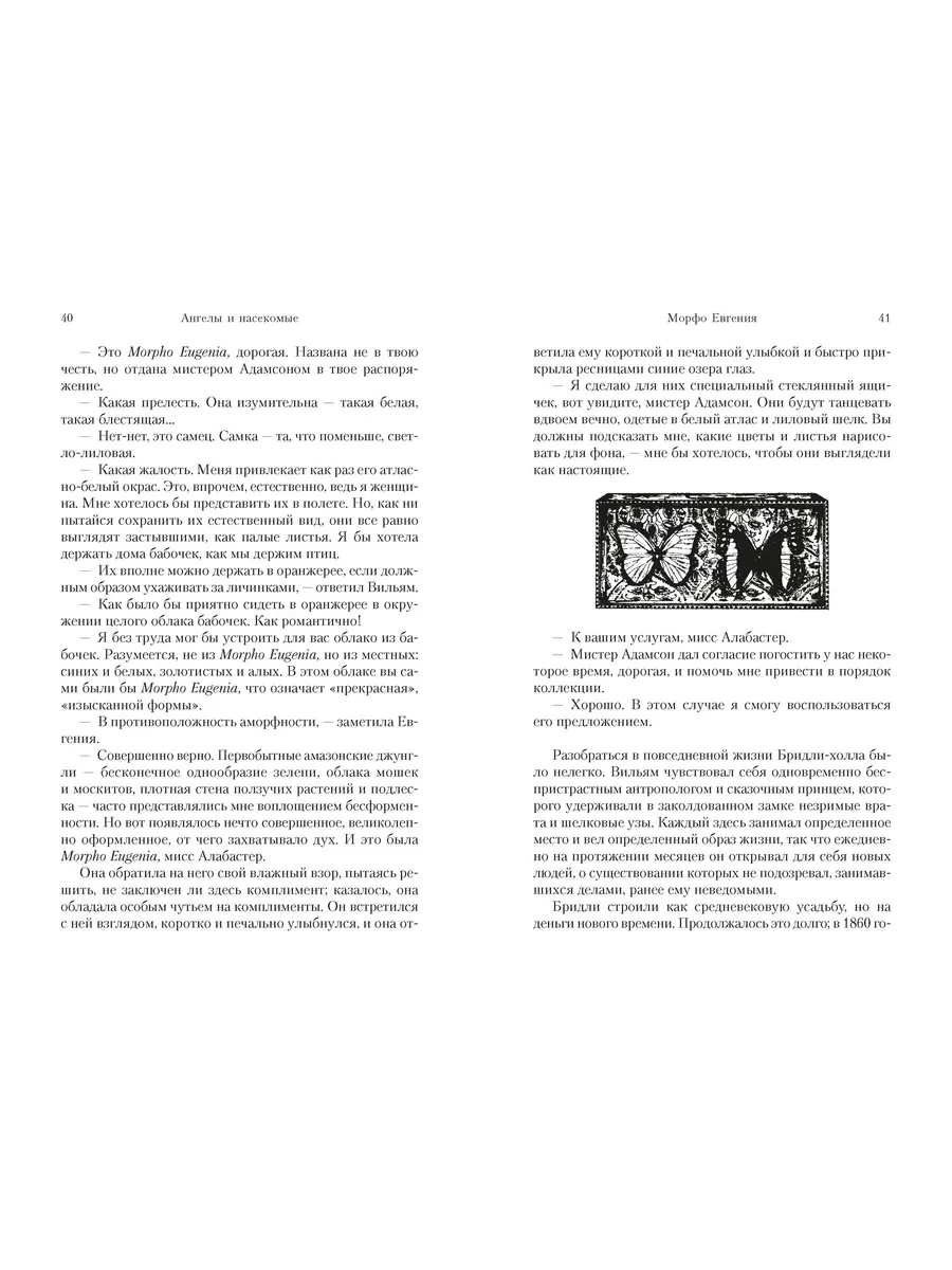Ангелы и насекомые