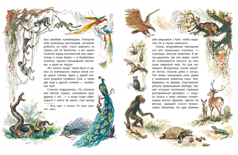 Сюн и Кунг (Любимая мамина книжка)