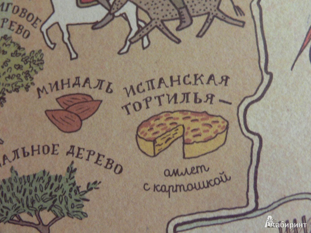 Карты. Путешествие в картинках по континентам, морям и культурам мира. 5е издание