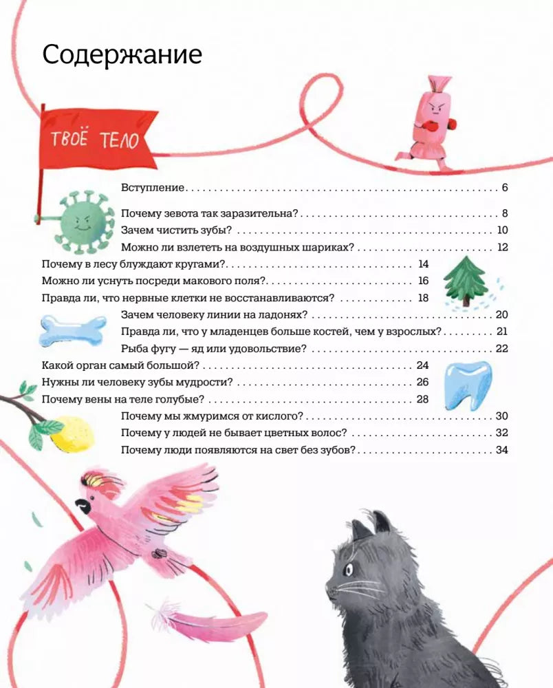 Тело человека. 35 ответов на детские вопросы о том, как раб