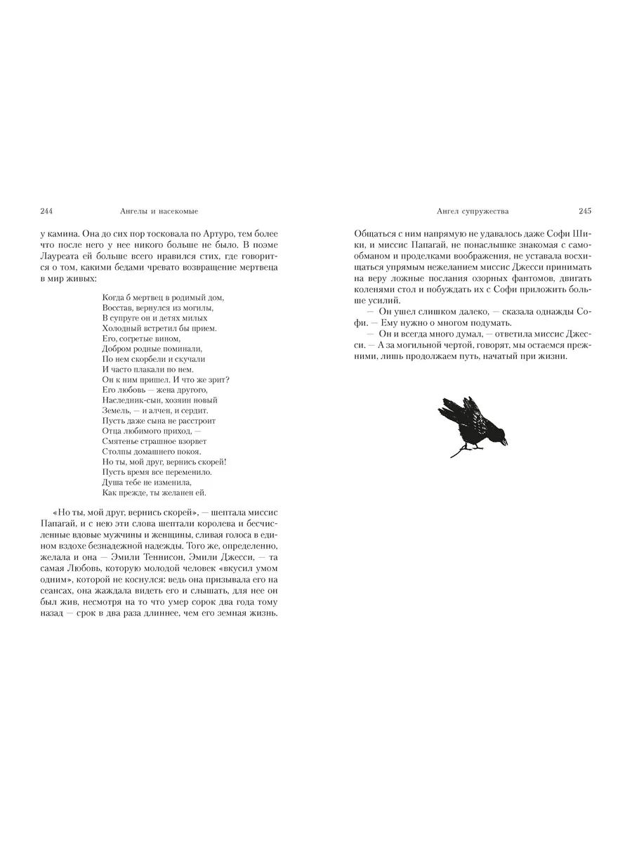 Ангелы и насекомые