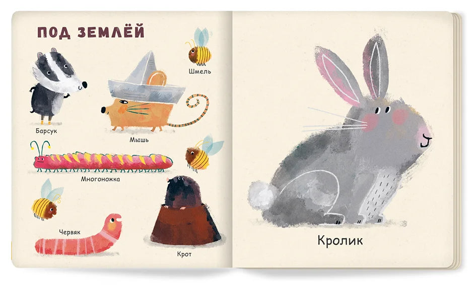 Мои первые животные