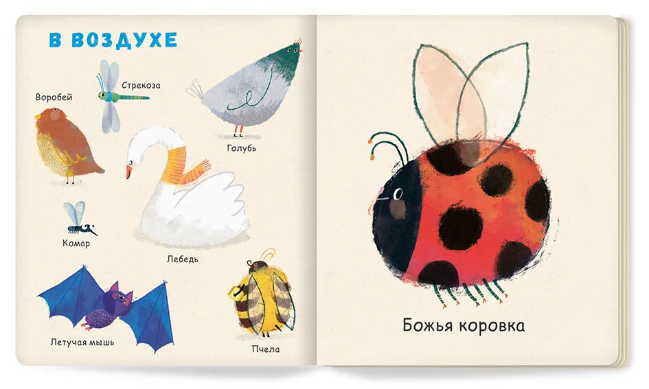 Мои первые животные