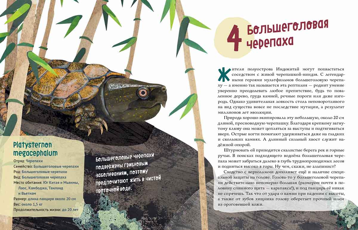 Черепахи. Великолепная десятка / Михаил Лукашевич