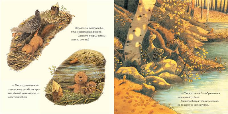 Осень гусёнка