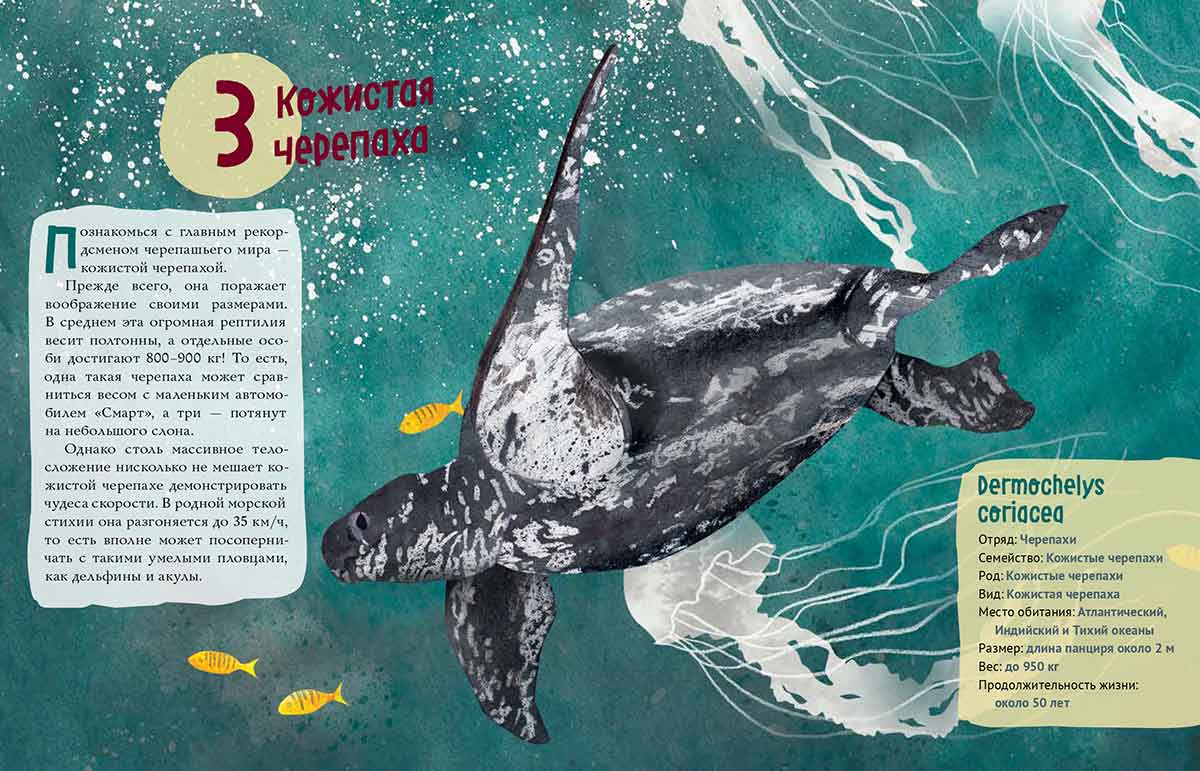 Черепахи. Великолепная десятка / Михаил Лукашевич