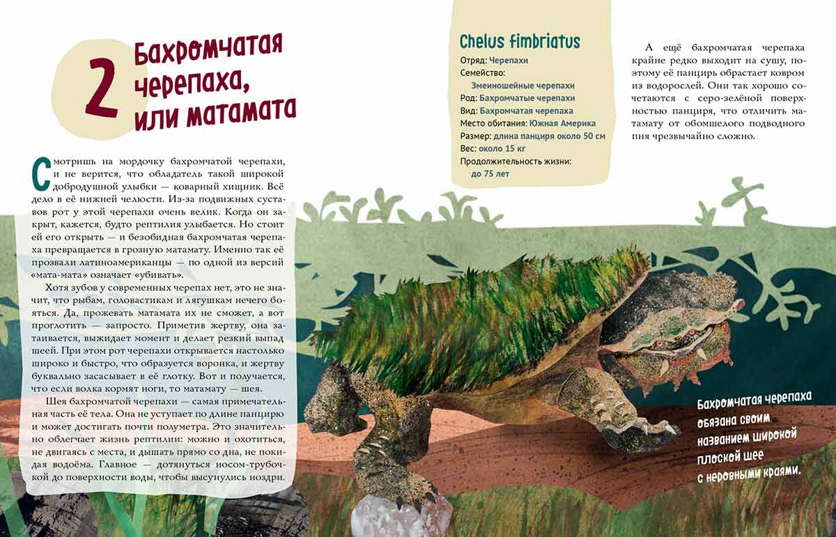 Черепахи. Великолепная десятка / Михаил Лукашевич