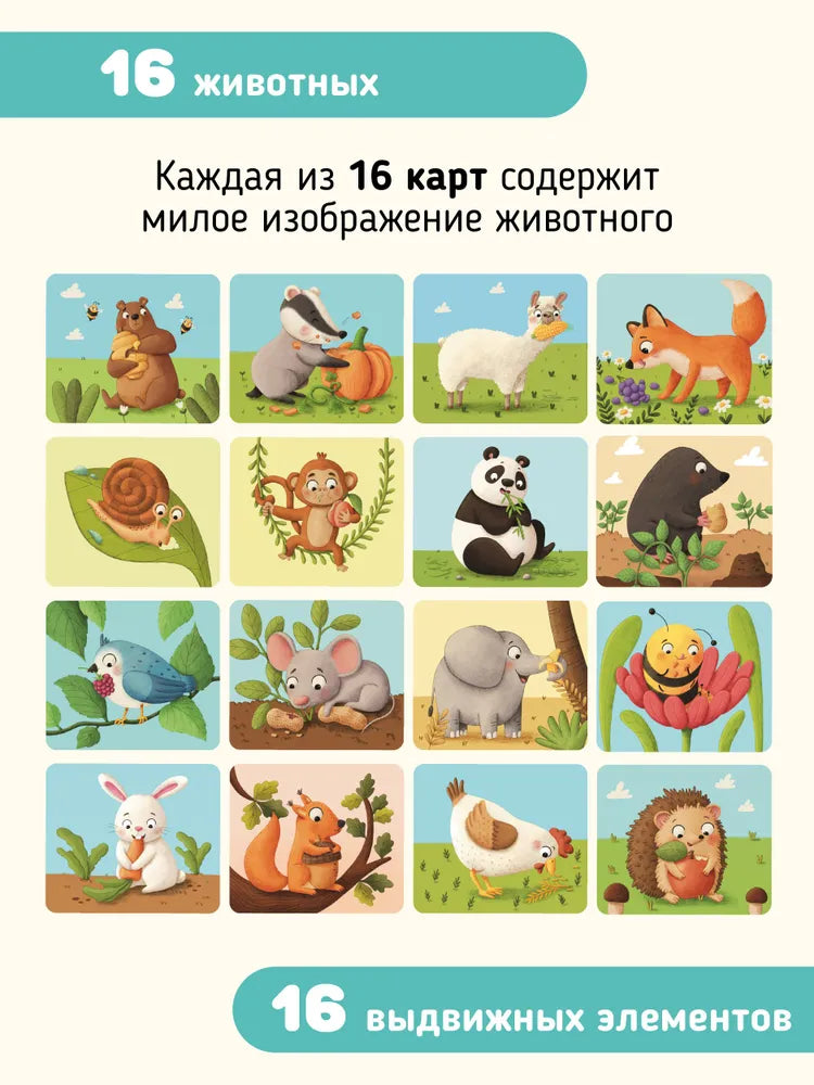 Карточки Животные