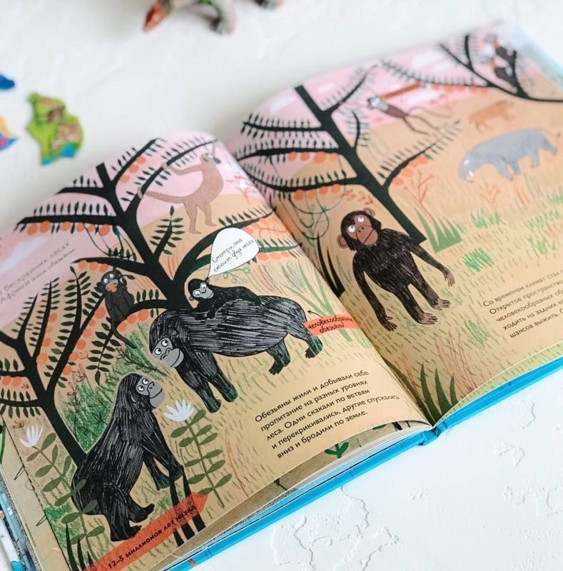 История жизни. Моя первая книга об эволюции