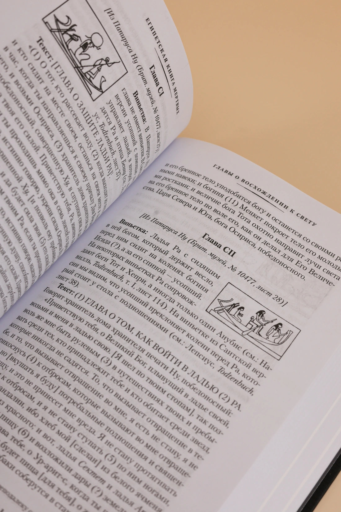 Египетская книга мертвых. Индийская книга мертвых. Тибетская книга мертвых.