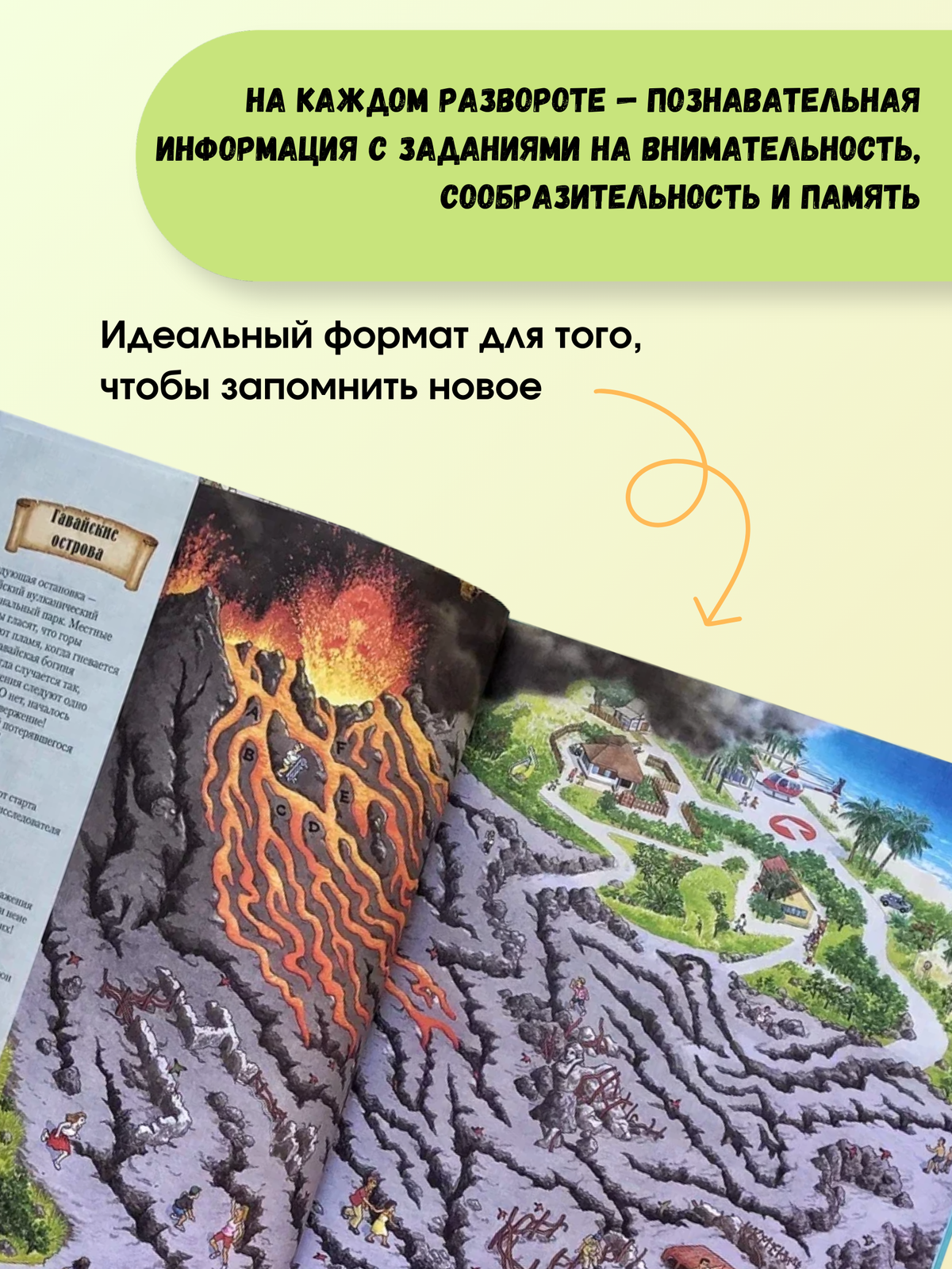 На Земле и в океане. Лабиринты