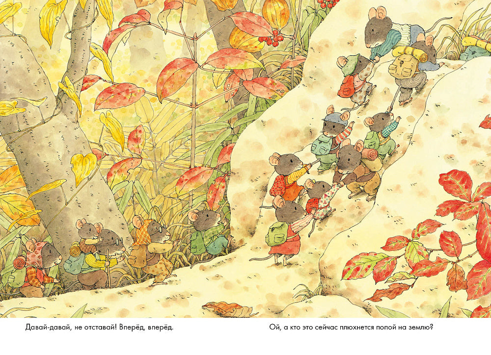 Переезд. 14 лесных мышей