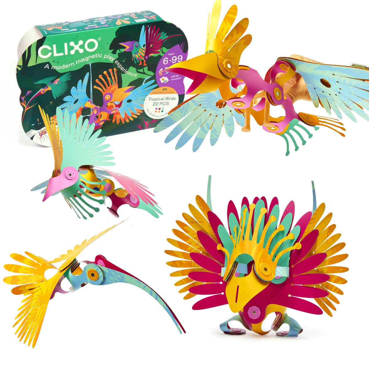 Clixo: Tropical Birds