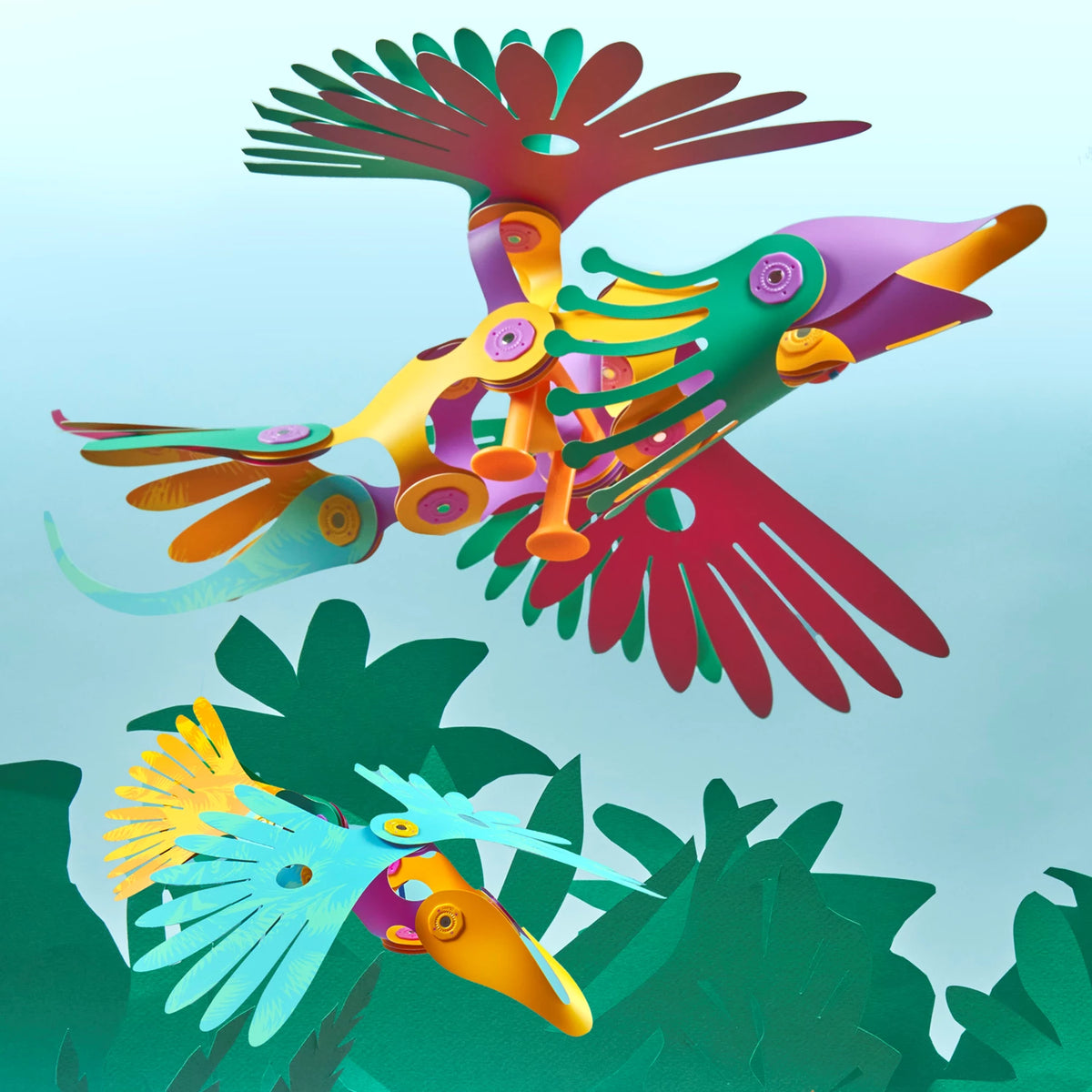Clixo: Tropical Birds