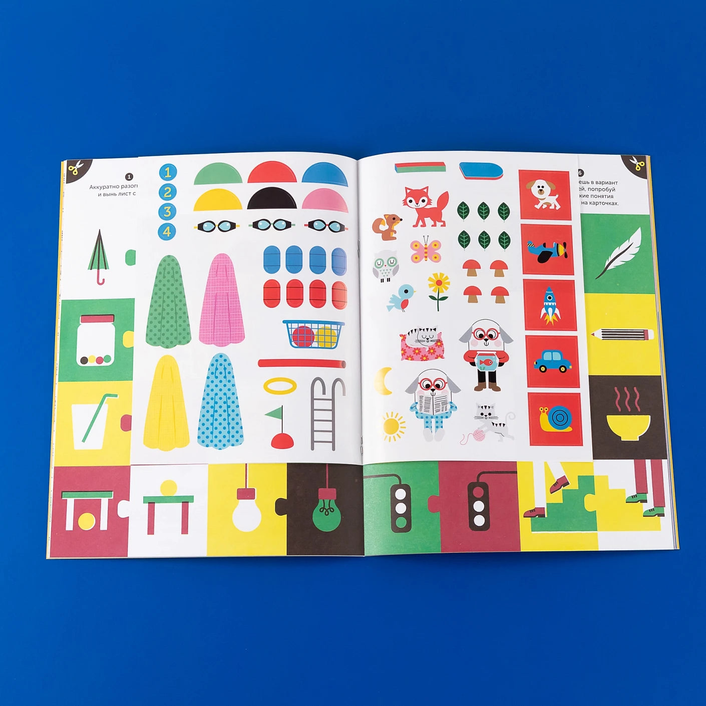 Тибо. Журнал, с которым можно играть. Противоположности