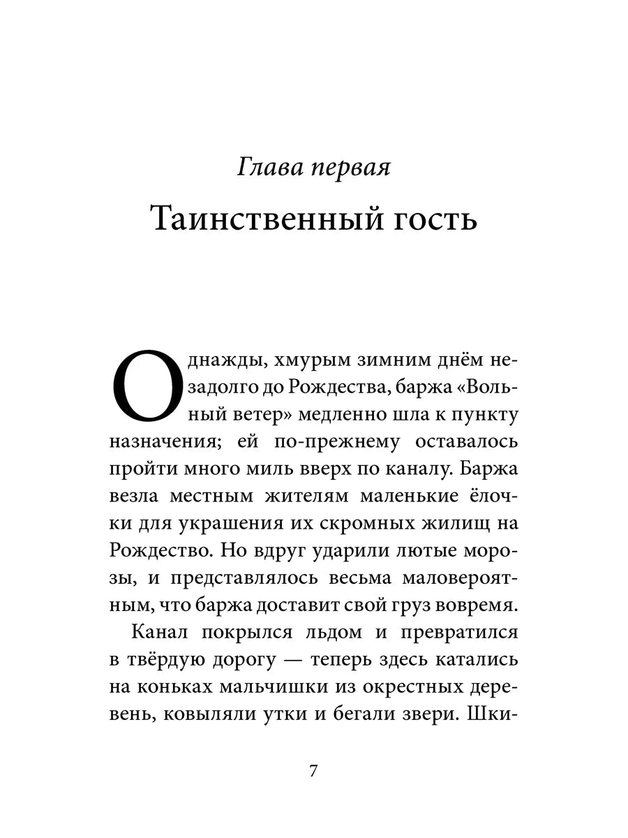 Билл Барсук. Зимнее путешествие. 2-я книга о приключениях Билла Барсука