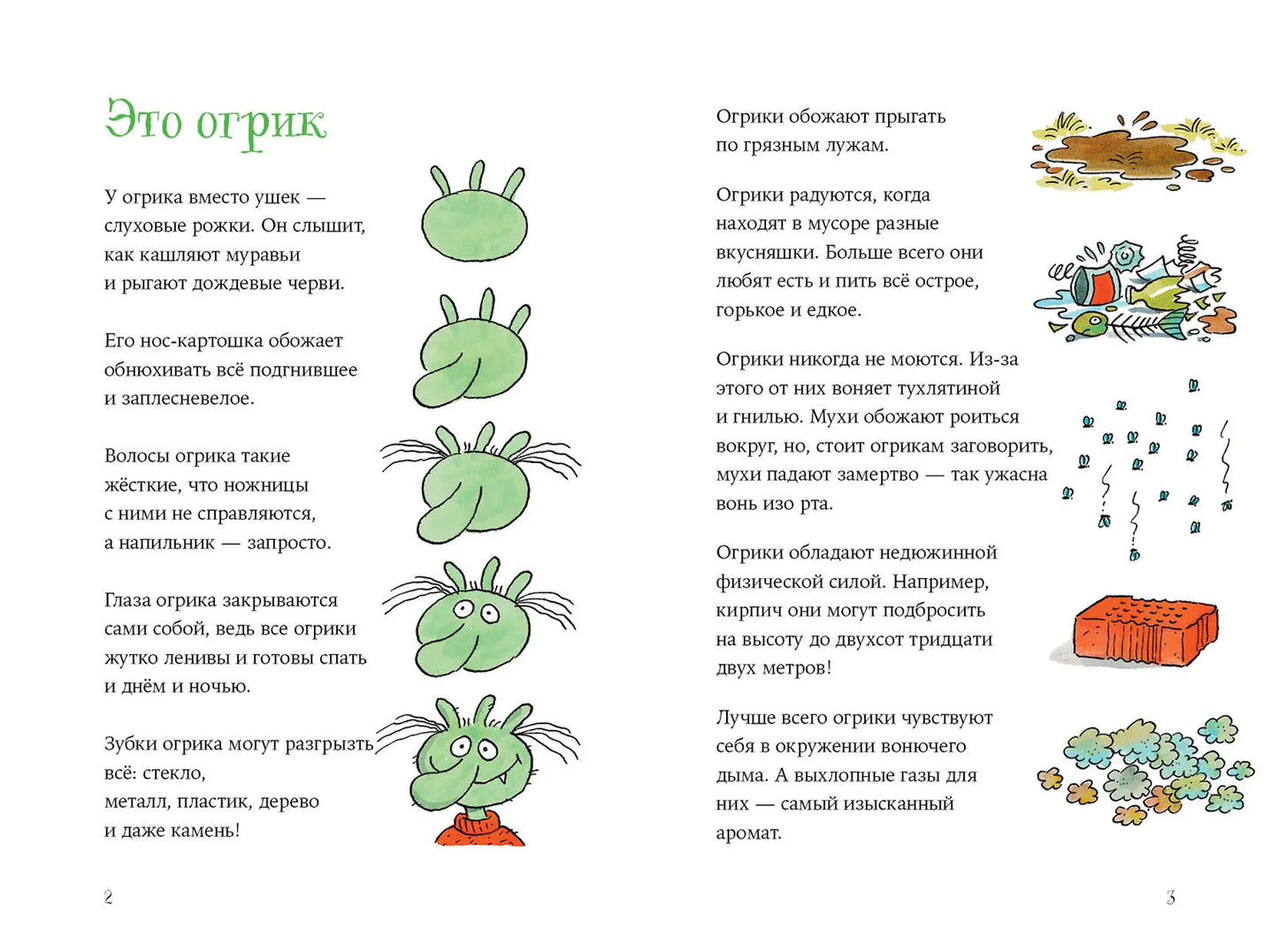 Огрики: Куда хотим, туда летим!