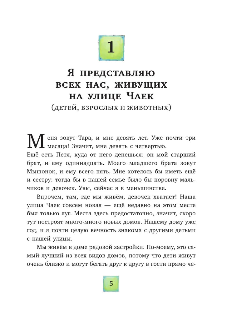 Тайна на улице Чаек