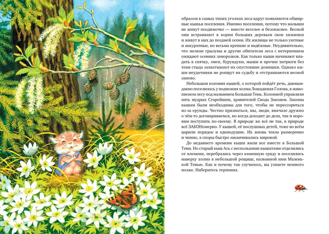 Большой Кыш