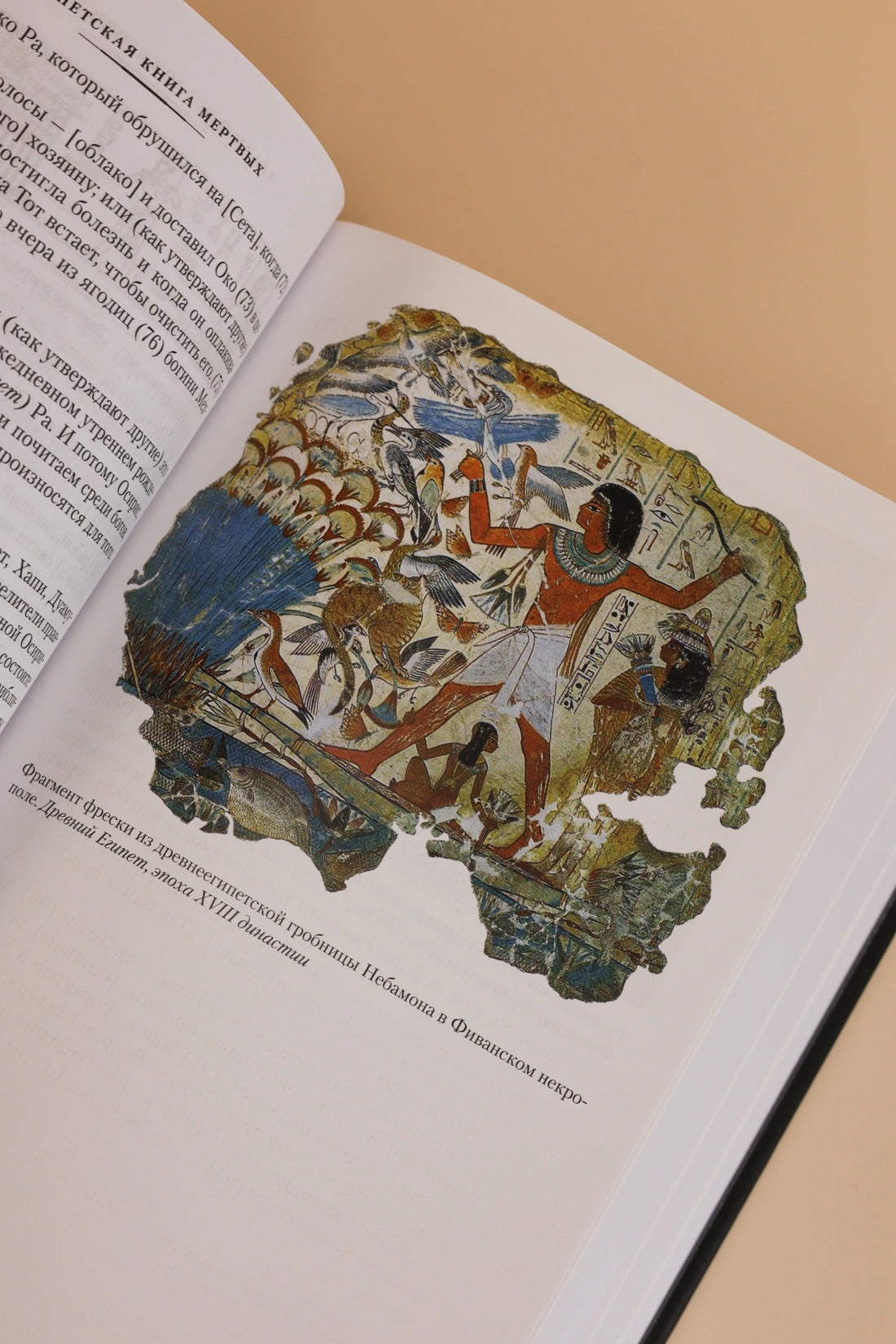 Египетская книга мертвых. Индийская книга мертвых. Тибетская книга мертвых.