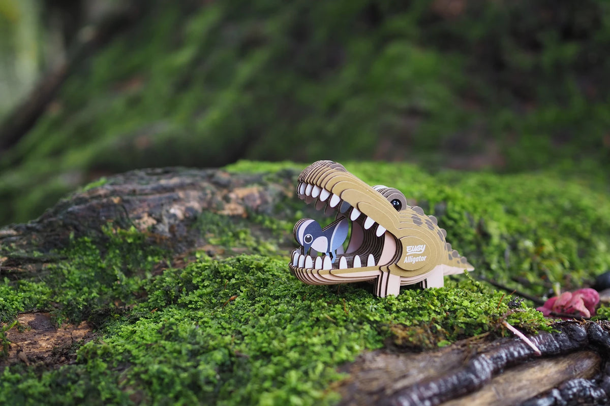 3D Bastelset Alligator