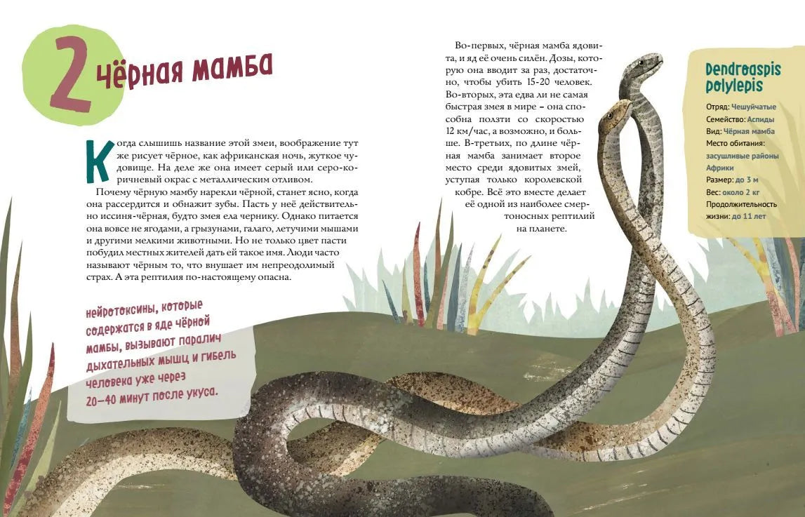 Змеи. Великолепная десятка / Михаил Лукашевич