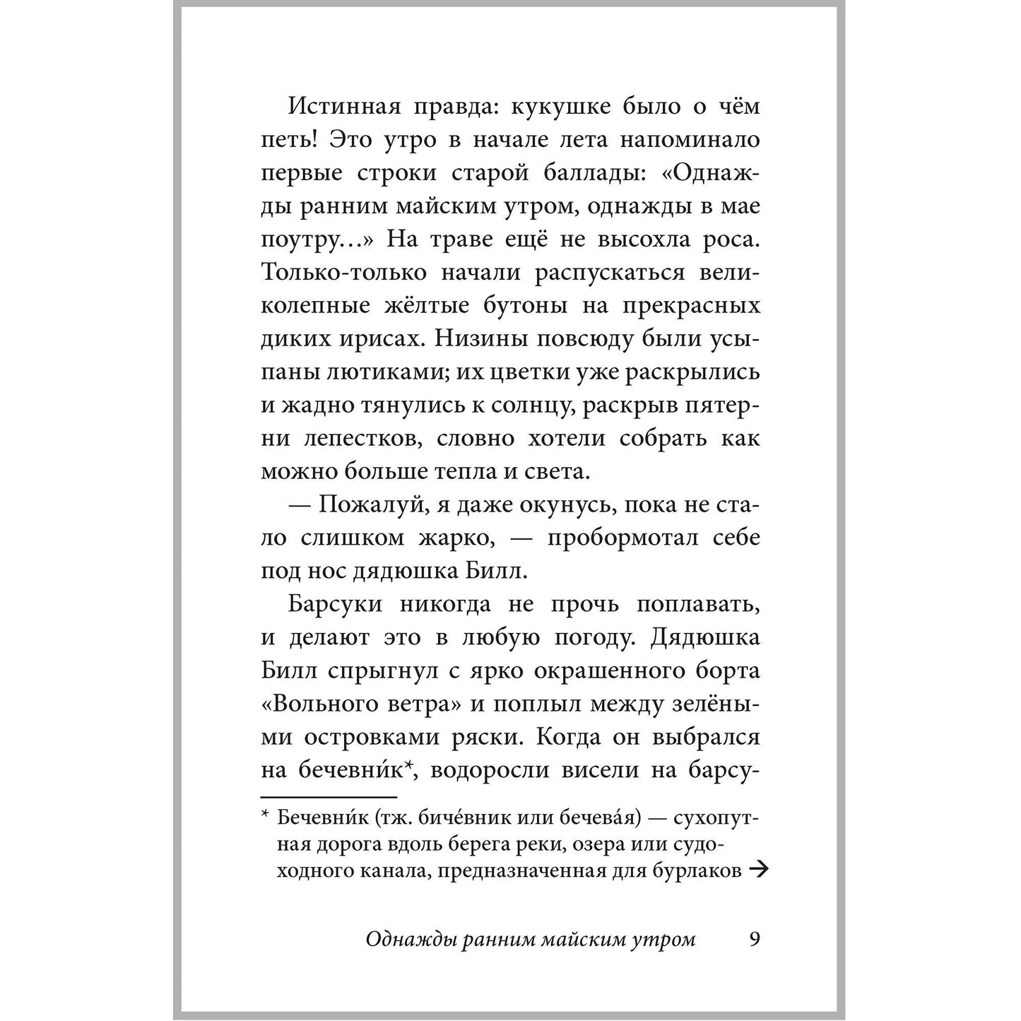 Билл Барсук и пираты. 3-я книга о приключениях Билла Барсука