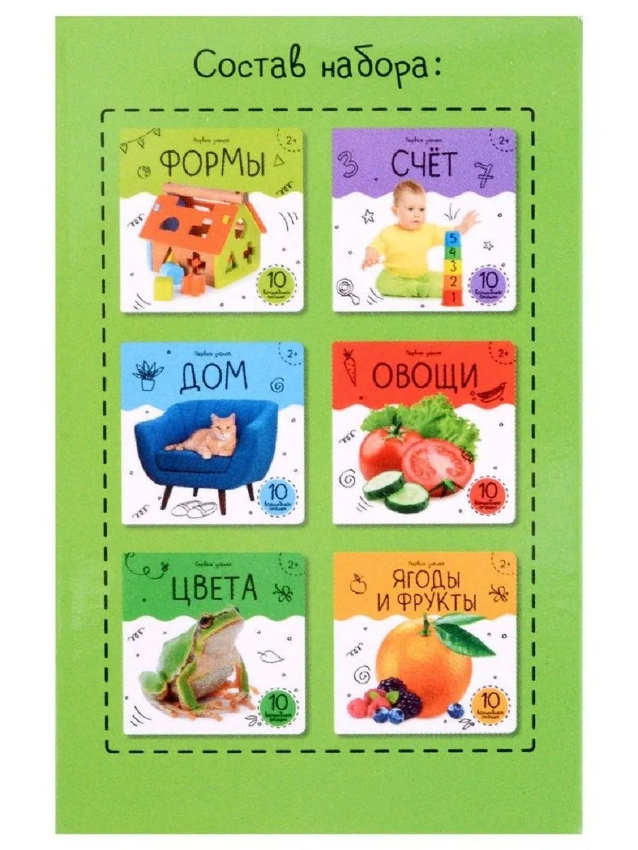 Шоубокс "Первые знания"