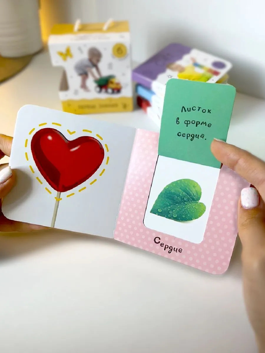 Шоубокс "Первые знания"