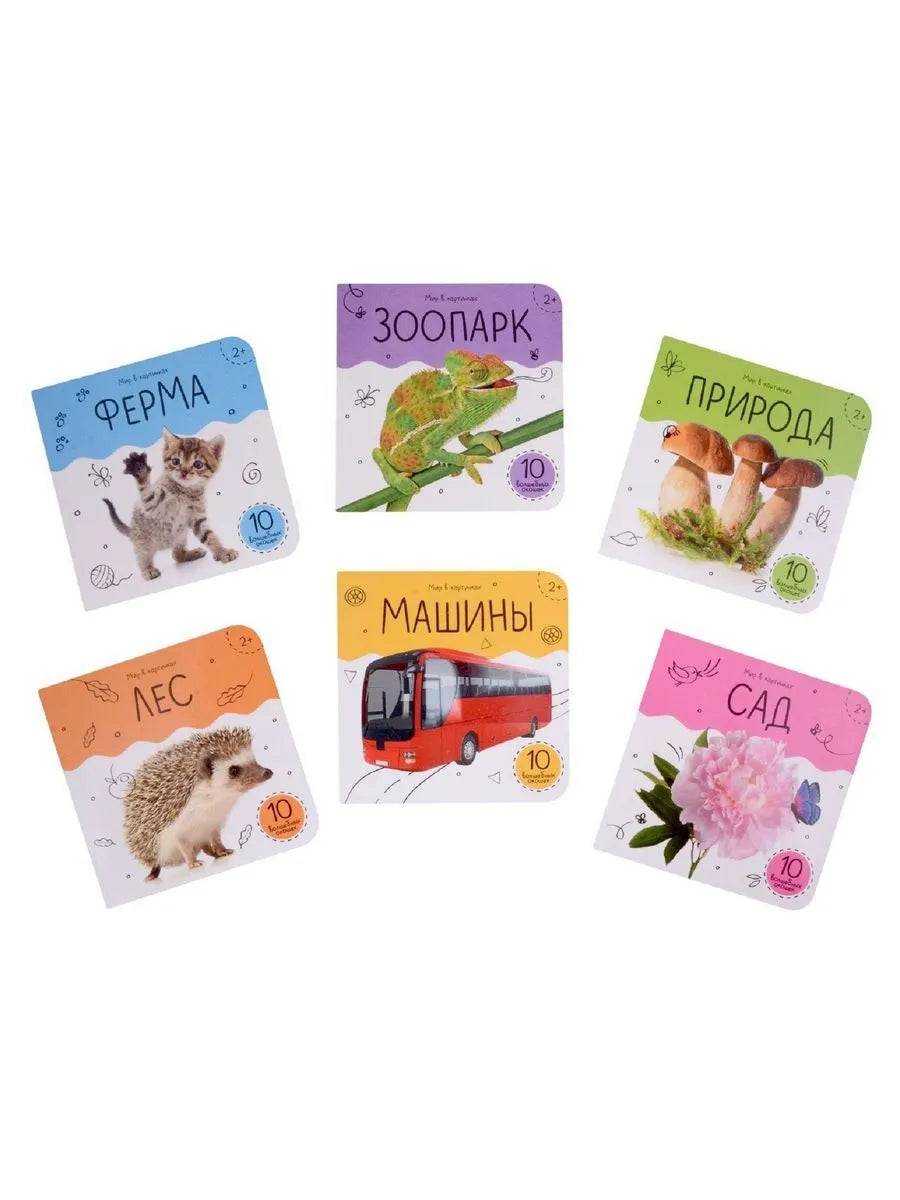 Шоубокс "Мир в картинках"