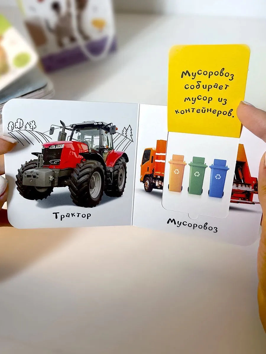 Шоубокс "Мир в картинках"