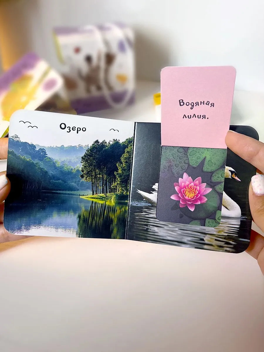 Шоубокс "Мир в картинках"