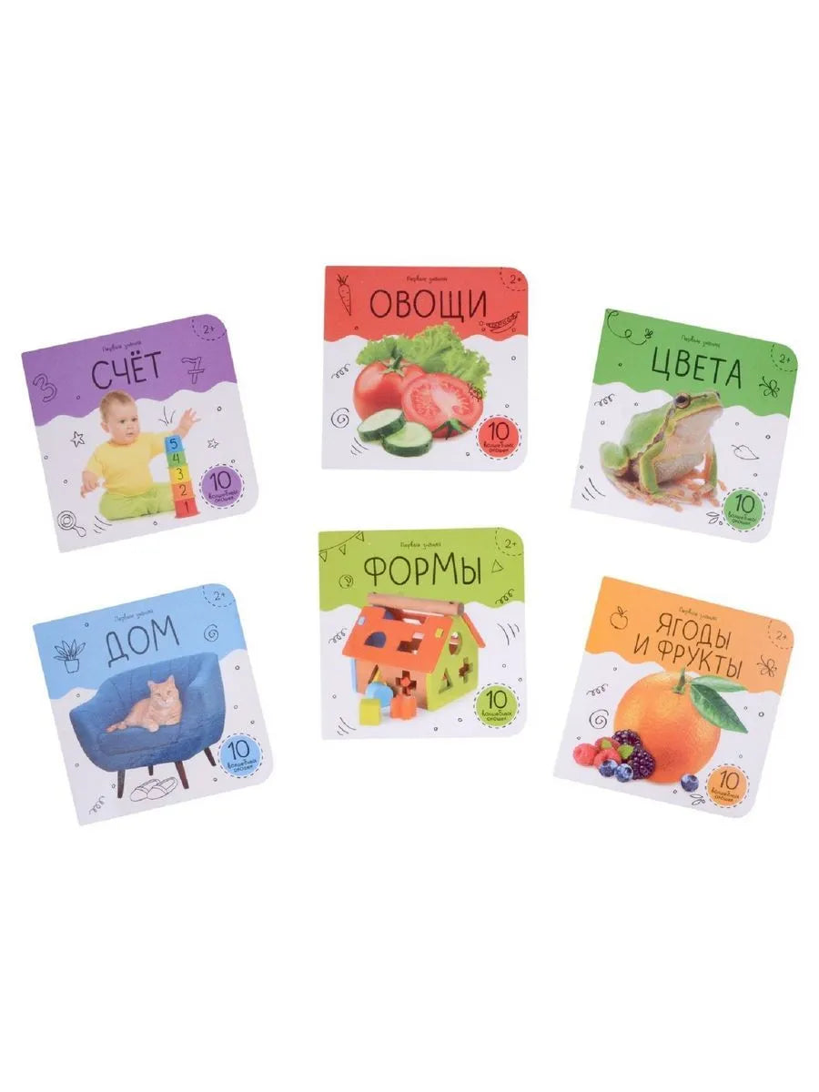 Шоубокс "Первые знания"