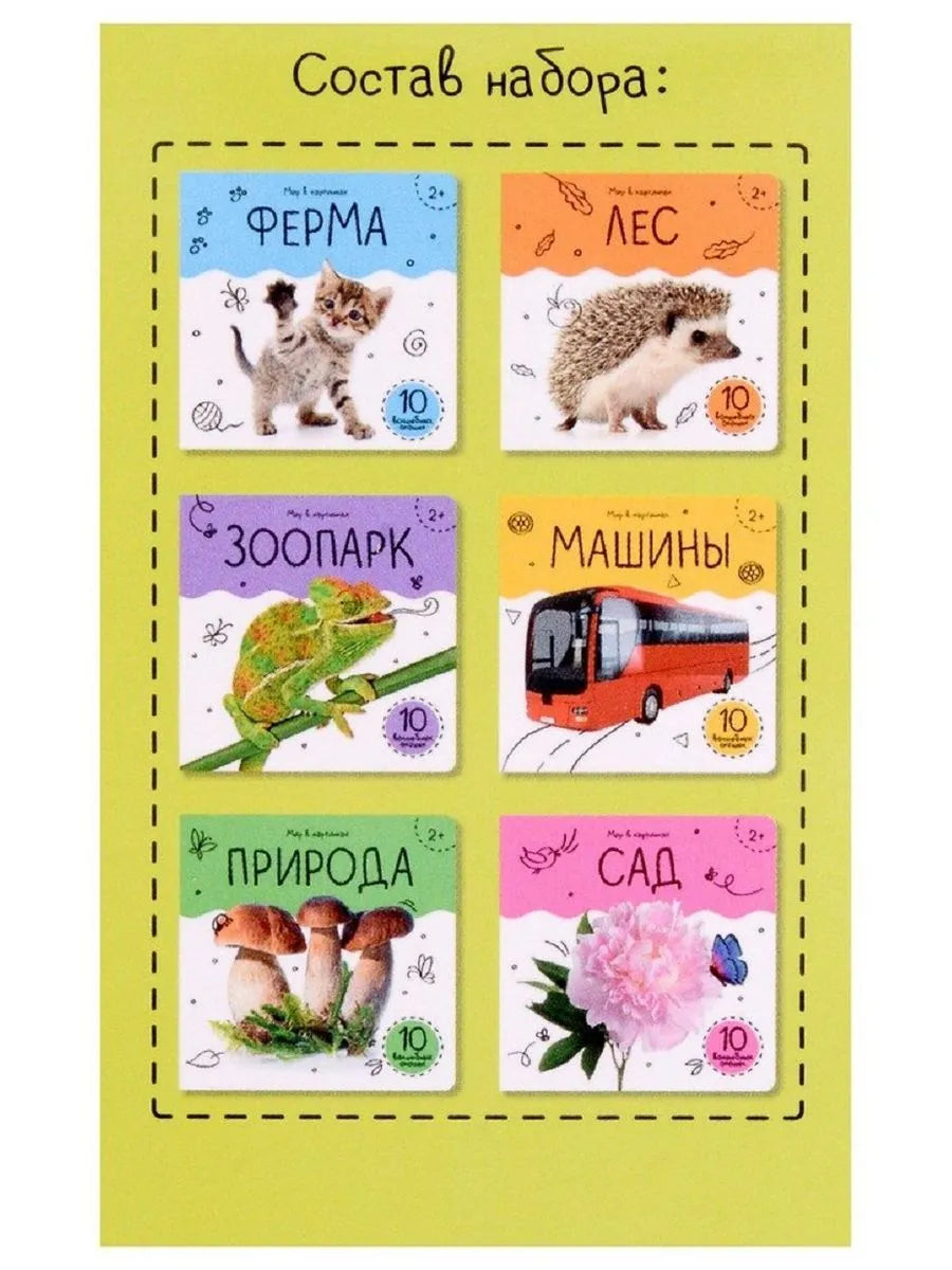 Шоубокс "Мир в картинках"